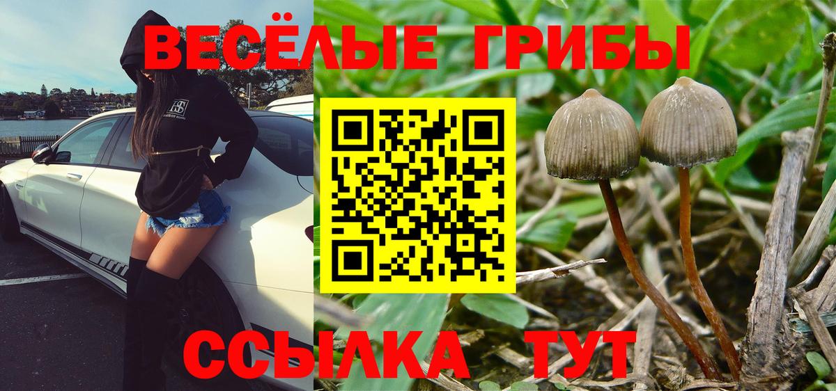 Галлюциногенные грибы MAGIC MUSHROOMS  Вход с VPN  Свободный  Галлюциногенные грибы GOLDEN TEACHER 