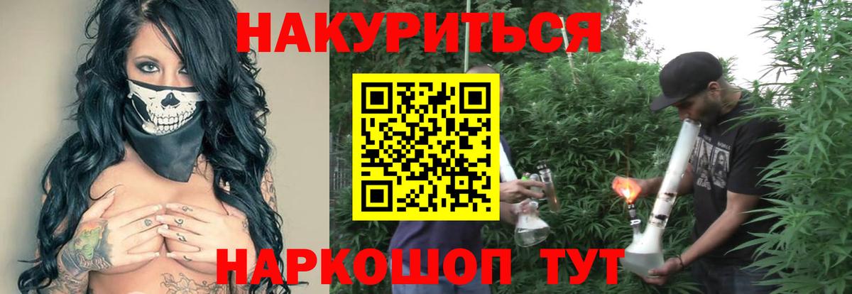 Бошки Шишки гибрид Свободный
